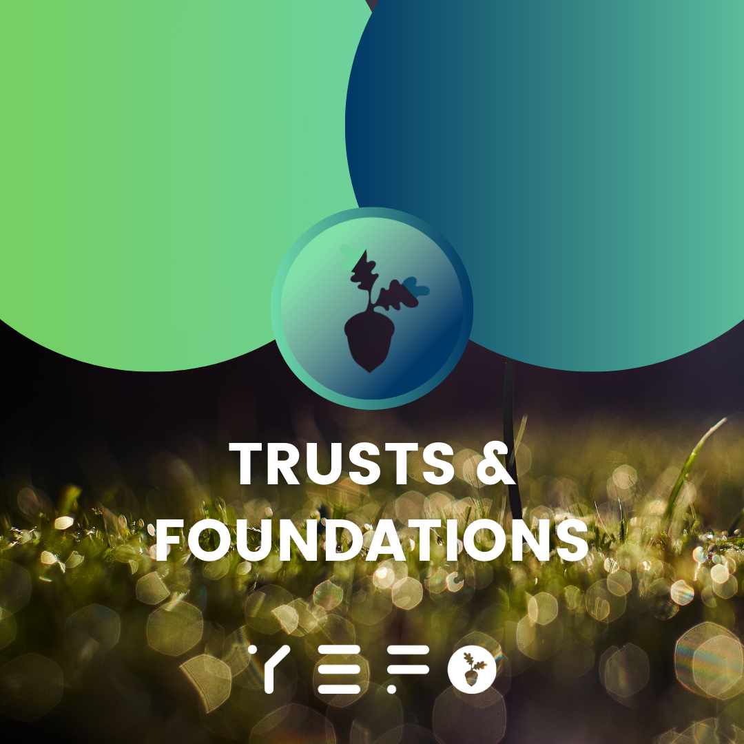 Trusts foundations